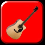 Western Gitaar Asthon