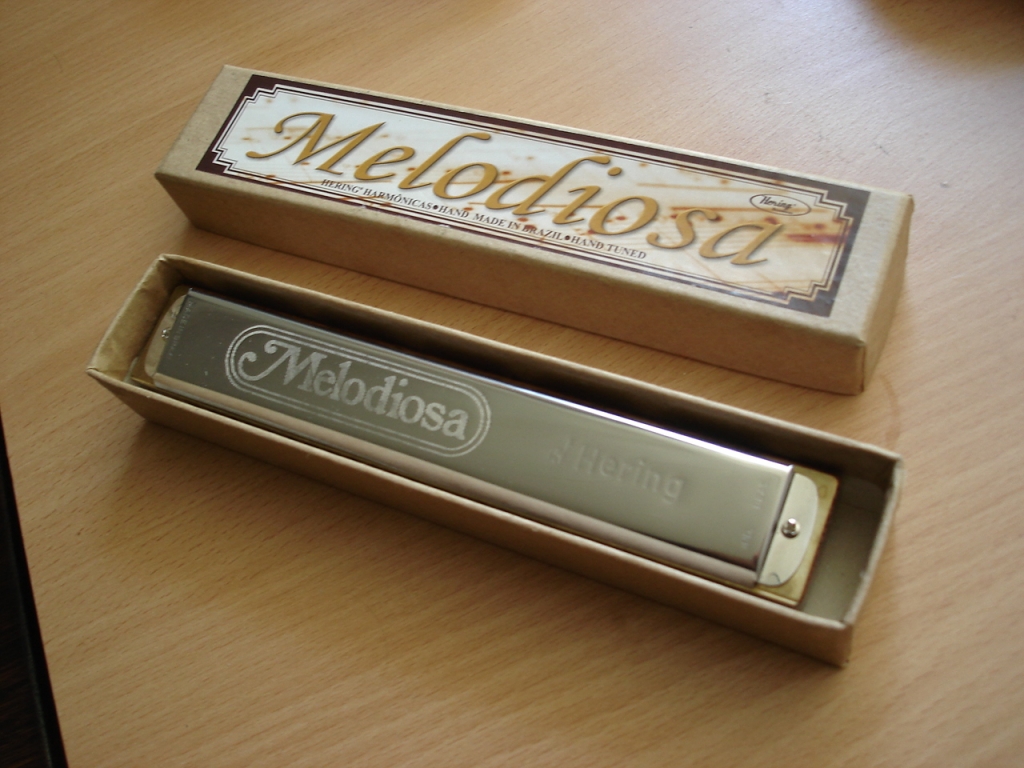 tennis Verminderen verkoopplan Hering Melodiosa Mondharmonica in D 48 tonig Houten Body – Orgel Center  Roosendaal