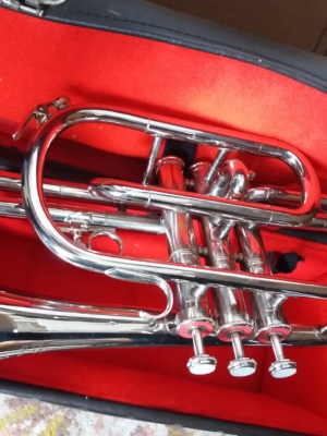 Tristar Cornet 3 in Bes Verzilverd | Occasion met koffer